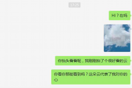 张家口融资清欠服务